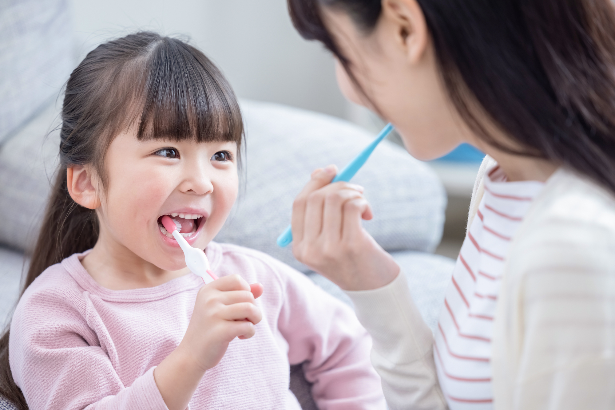 歯科の定期検診