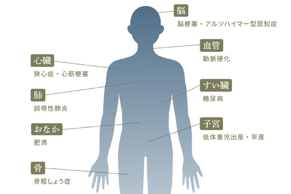 歯周病と全身疾患との関係