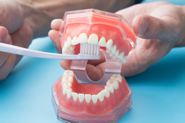 ブラッシング指導