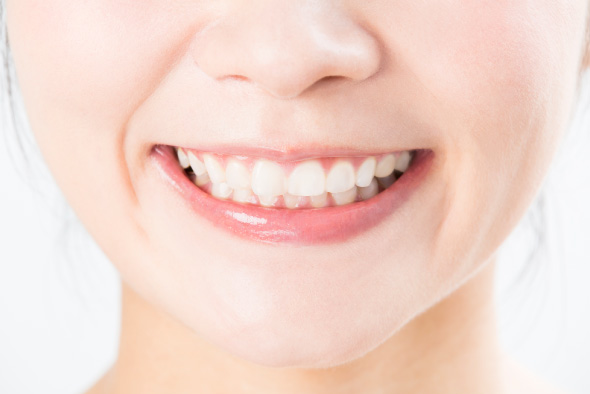 定期検診・メインテナンス